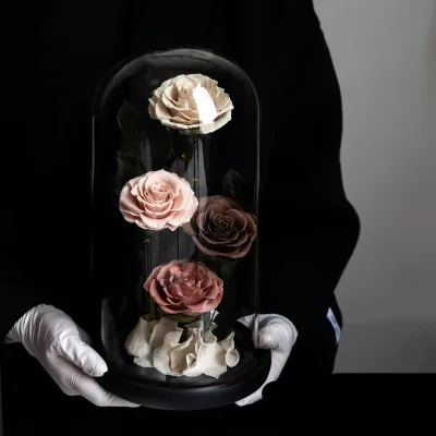 Beauty the Beast LED Eternal Rose in Glass Dome Preserved Roses for Christmas Valentines Day Mother's Day Gift Packed Gift Box