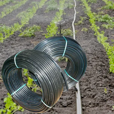 Agricultural 16Mm Cylindrical Drip Line Drip Irrigation Pipe for Sale
