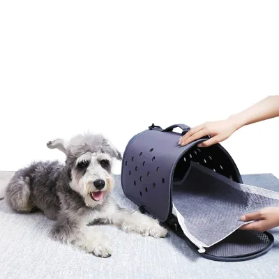 Fast Shipping Super Absorbent Bamboo Charcoal Custom Pet Diapers Dog Training Pad Disposable Health Diaper Pad