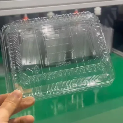300B Small Tomato Cucumber Cherry Fruit Box Fresh Fruit Cut Plastic Packaging Box Can Hold 300g