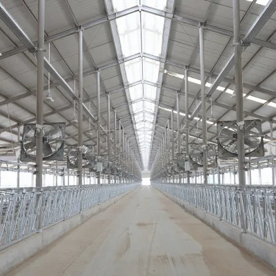 Turnkey Cattle and Sheep Farm Design with Full Equipment Supply for Dairy Cattle and Sheep Farm Use