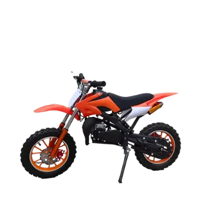 Road Race 49CC Engine Motorcycle 49cc Racing Motorcycle with Roof
