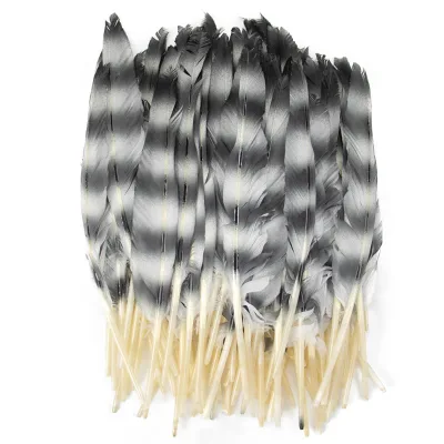 Wholesale Sale Latest Natural Dyed Goose Feather OstrichBack 25-30cm for Decoration Feather