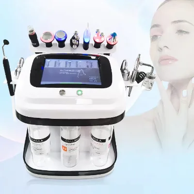 New Trends H2O2 Hydro Dermabrasion Facial Machine 10 in 1 Price Oxygen Spray Facial Diamond Peeling Machine