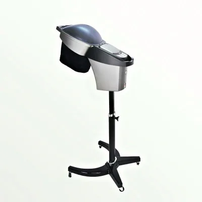 Home Use Hair Steamers for Beauty Salon Use Customize Hand Ultrasonic Mist Hair Steamer Hot Sales