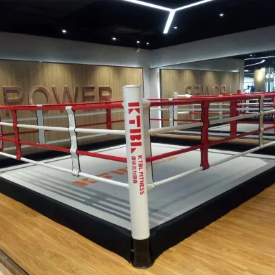 Good Price Custom Logo Professional Folding Boxing Ring Mini 4x4 Professional Kick Folding Boxing Rings