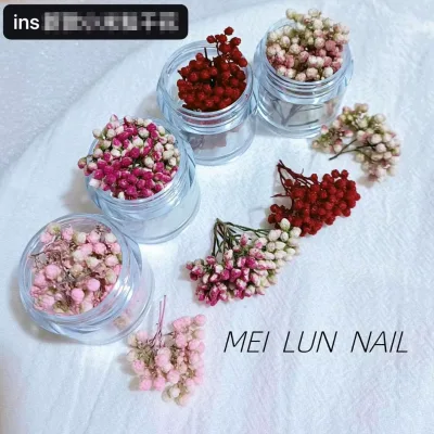 Cross Border Hot Ins Style Grain of Rice Dried Flower Material Package Flower Drawing Small Rose Nail Beauty Dried Flowers Mater