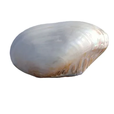 Hot Sale Mother of Pearl Shell Seashell Polished Real Touch Nautical Style Mosaic Decorative Dish Home Angel Jewelry Tray