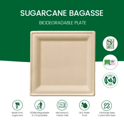 Sustainable Compostable Bagasse Plate Microwave Safe Disposable Plate for Food Service