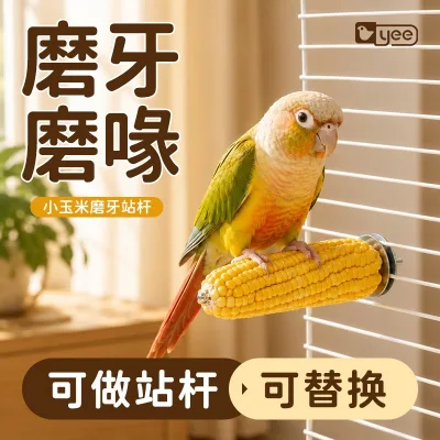 Parrot corn-based chew toy for peacocks, and sun conures to relieve boredom and self-entertain with chewing and beak grinding