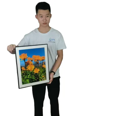 Custom Framed Ready to hang Poster Prints High Quality Matte Poster