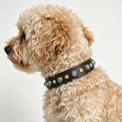 Diamond-encrusted Turquoise Pink-and-Green Genuine Leather Cowhide Shiny Small Size Pet Collar for Cats and Dogs Henan-Made