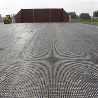 Biaxial Weaving Warp Knitting Polyester Geogrid