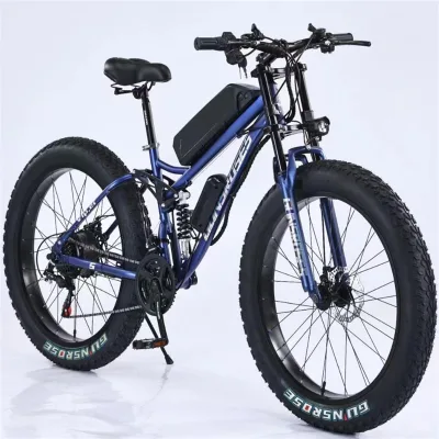 Hot Sell 48V 300W 500W 1000W Bicicletta/Elettrica Snow Ebike Custom Snow E Bicycle 26 Inch Disc Brake E Bicycle Fat Sport Bike
