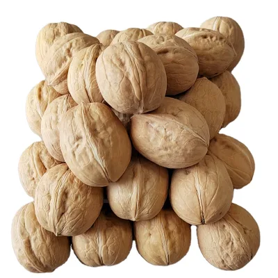 Walnuts,Factory Walnuts,Wholesale Walnuts,Type 33