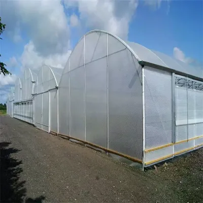 Optimizing Greenhouse Conditions for Maximum Flavor and Nutrient Density