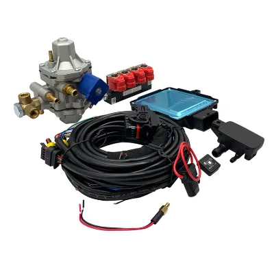 Reducer Injector Map Sensor 4 Cyl Cng lpg Conversion Kit for Cars