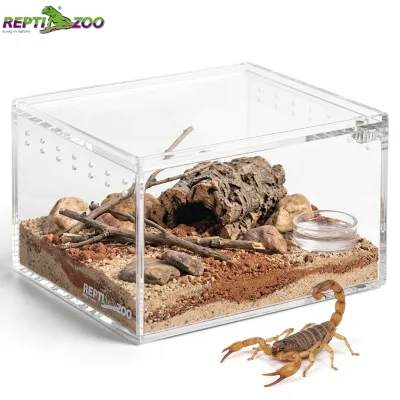 REPTIZOO Clear Acrylic Spider Enclosure Mini Terrarium for Jumping Spiders Baby Tarantula Slings Mantises Isopods Breeder