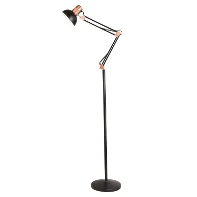 Customized Modern Iron Home Hotel Bedroom Floor Lamp Standing Light Eyebrow Tattoo Beauty Salon Repair Magnifying Glass Lamp