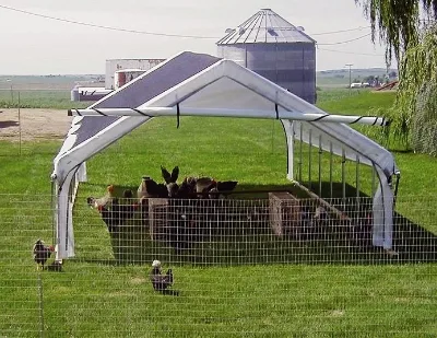 Chicken Coop , Goat Shed