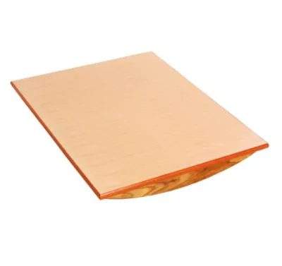Physiotherapy Balance Board Vestibular Board