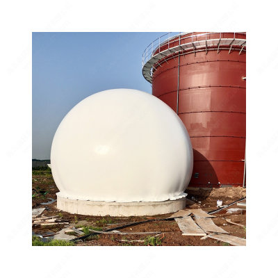 Biogas Anaerobic Fermentation tank Biogas Plant