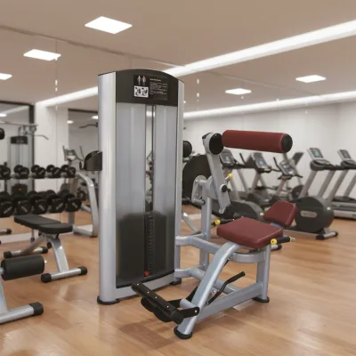 Hot Sale Back Extension Back Extension Exercise Back Extension Machine Suitable for Bodybuilding Training