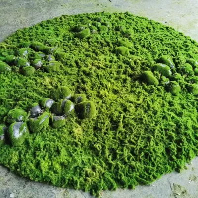 EG-V025 Certified Artificial Green Moss Grass Wall Stabilized Simulated Plant Moss Panel for Outdoor Space Artificial Moss