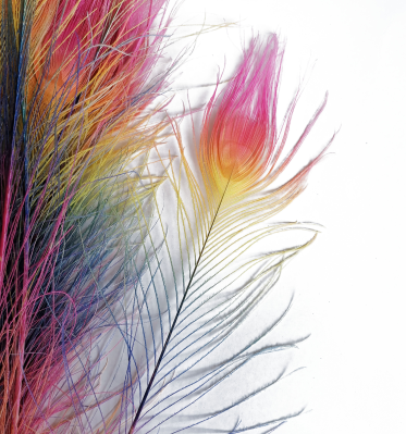 Wholesale Bulk Dyed Natural Two Tone Orange Rainbow Plume Handmade Wing Feathers Tail Peacock Feather for Decoration