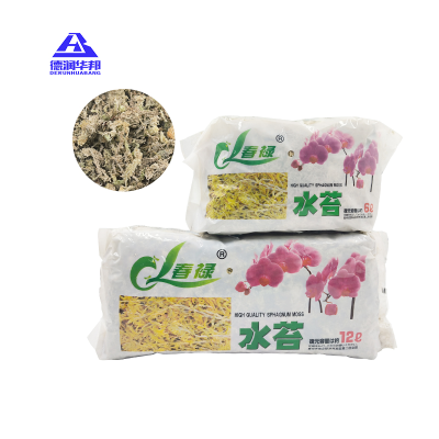 Sphagnum Moss for Horticultural Plant Cultivation Organic Sphagnum Moss for Orchid Growing Medium