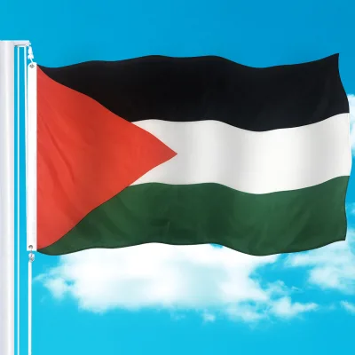 Ready to Ship Cheap OEM Flags Double Side Printing 3x5ft Palestine Promotional National Banner 90x150cm Palestine Flag