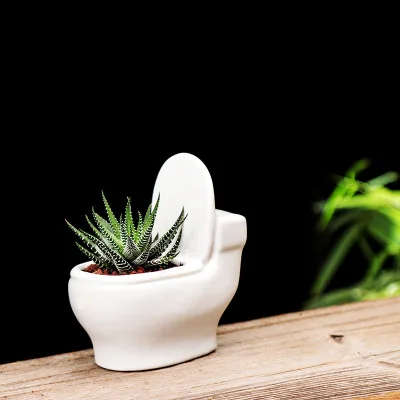 Gardening Cross-border White Ceramic Succulent Pot Creative European-style Balcony Green Plant Small Flower Pot Hotel Flower Pot