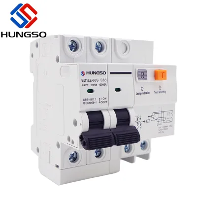 Wholesale Price HUNGSO C-type RCBO 63A 2P+N Current Circuit Breaker for Home Automation