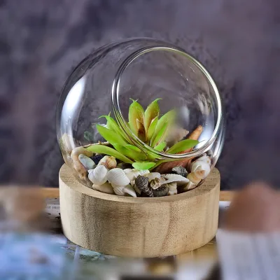 Beveled Globe Terrarium Succulent Pots Glass Planter with Wooden Base for Mini Landscape Plants Flower Pots & Planters
