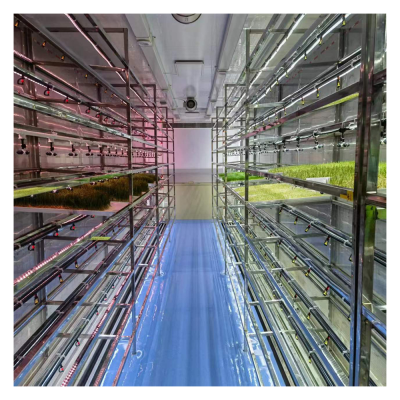 Smart Farm Shipping Container Farm Vertical Farming Hydroponic Growing System Container Room Greenhouse