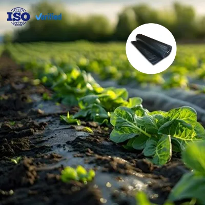 High Quality Silver and Black Plastic Mulch Weed Barrier Agriculture Plastic Products