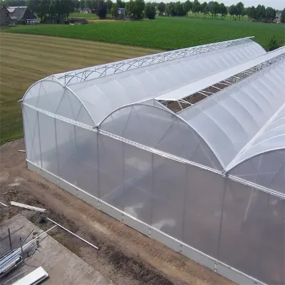 Export to Nigeria Agriculture Plastic Film Greenhouse Hydroponic Greenhouse From China Manufacturer
