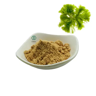 Food Grade Schizochytrium Algae Dha Powder Natural Additive Schizochytrium Powder