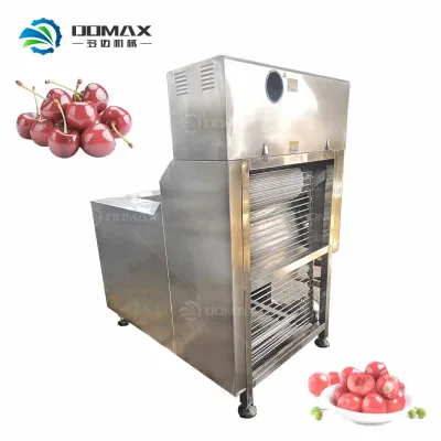 Popular Cherry Stem Remover Coring Machine Cherry Pitting Machine