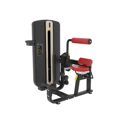Classic Gym Fitness Equipment Back Extension Strength Machine