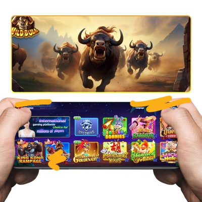 Online Game Platform USA Software Big Winner