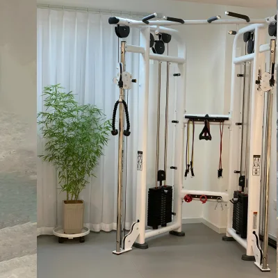Commercial Gym Equipment Muti Functional Trainer/fts Glide Pin Loaded Fitness Machine