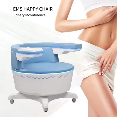Ems Incontinence Repair Chair Pelvic Stimulation Chair Postpartum Muscle Electromagnetic Ems Pelvic Floor Muscle Trainer Chair