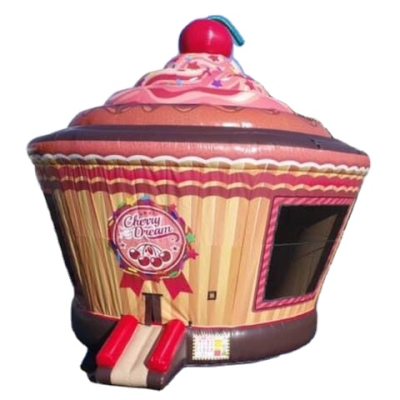 Inflatable Combination Bouncy Castle Indoor Outdoor Bouncy House for Kids Children's Bouncy House Cake Themed Bouncy House
