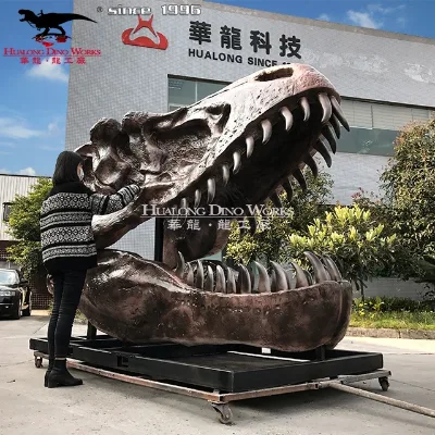 Sale Dinosaur Fossil That T-Rex Skeleton Will Place in Playground Park
