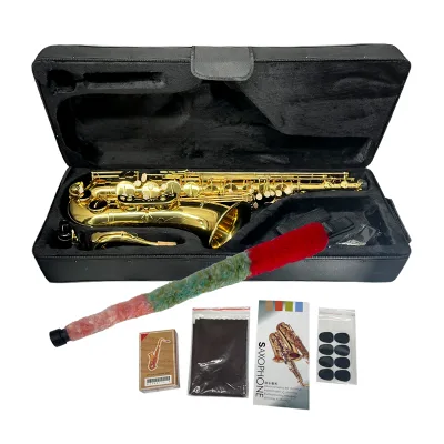 Aiersi Wholesale Price Professional Instrument Bb Parte Tenor Saxophone with case