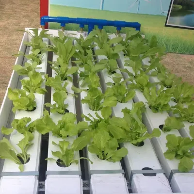 5 Gallon Square Pot Dwc Hydroponic System Single Clone Bucket Hydroponic Growing Systems Indoor Hydroponic Container