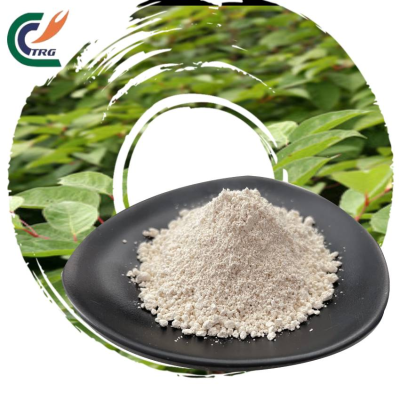 Resveratrol Extract Powder Resveratrol Powder Natural Resveratrol Supplement