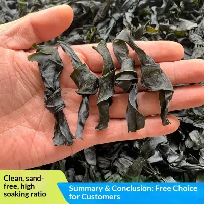 1000g Bulk Salt-Free Kelp Knots Sand Free Washed Premium Grade Hot Pot MalaTang Naturally Dried Thick-Clipped Fujian Kelp