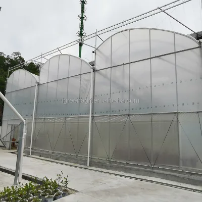 IGreen Customized Sawtooth Tropical Greenhouse Tropical Hydroponic Greenhouse